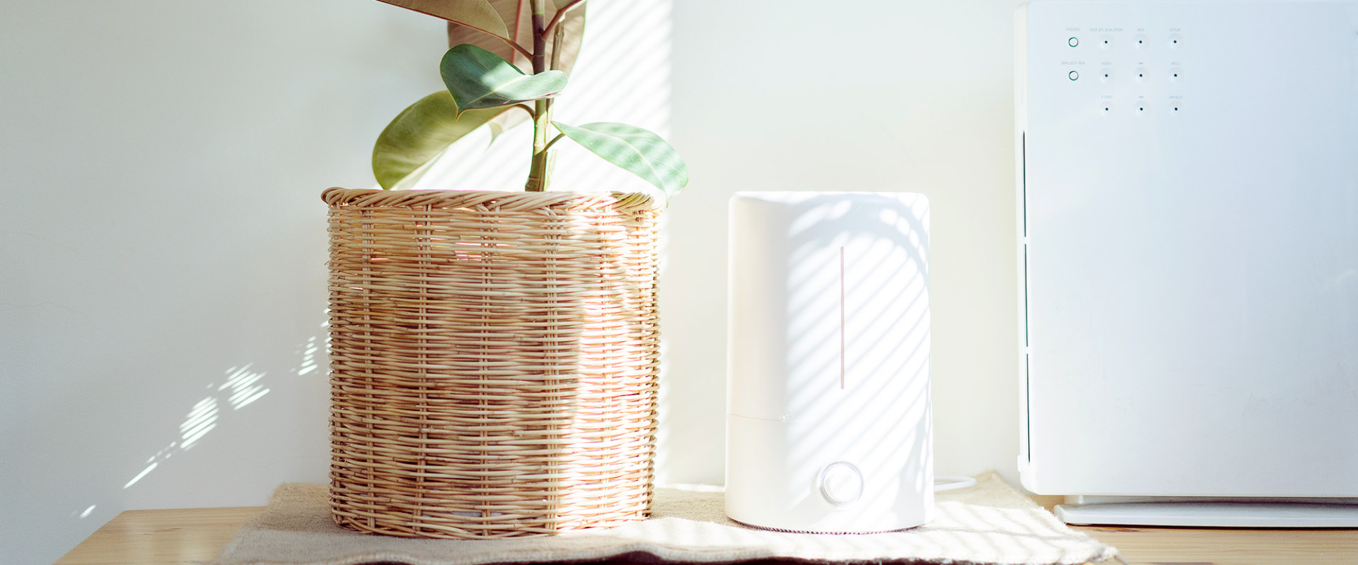 Do Air Filters Really Work?