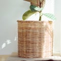 Do Air Filters Really Work?