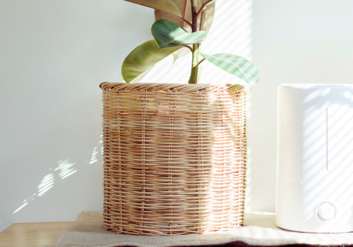 Do Air Filters Really Work?